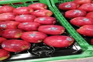 Red Apple from Iran